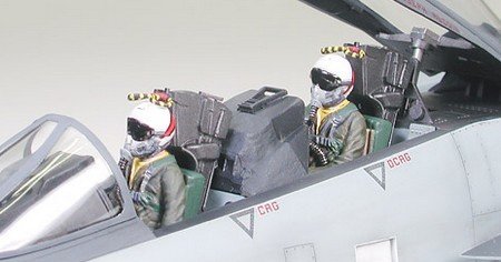 F-14A Tomcat Black Knights Review by Dave Williams (Tamiya 1/32)